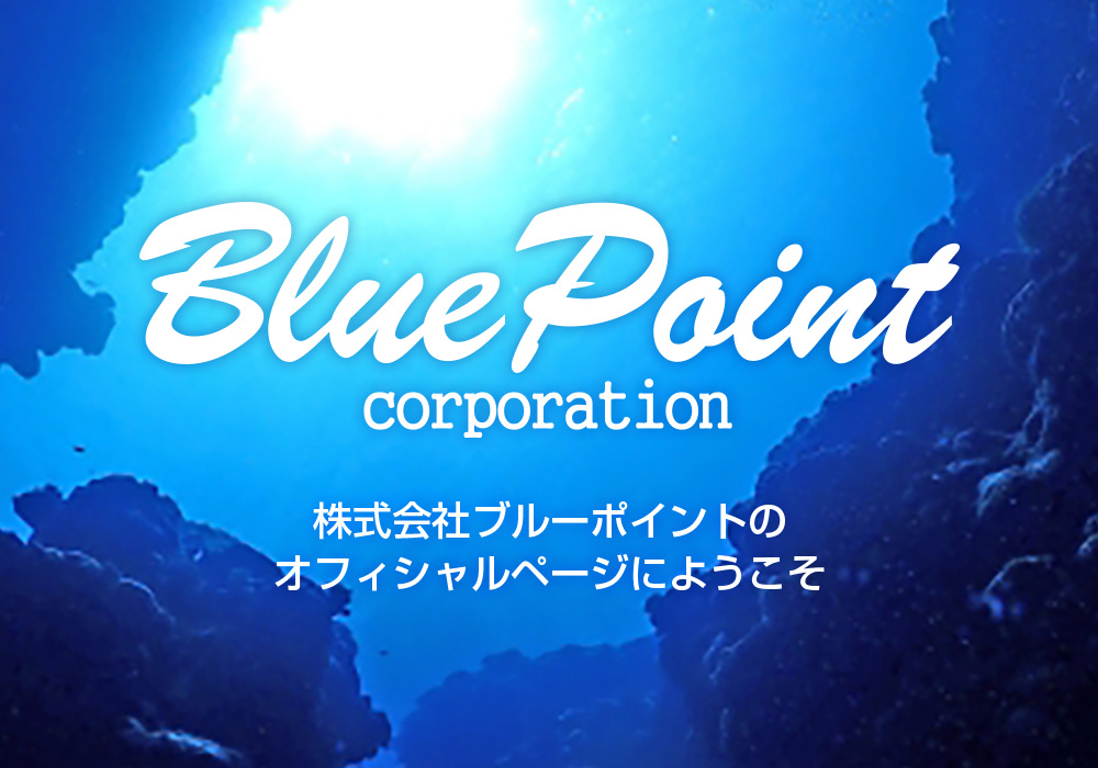 Blue Point Corporation